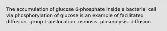 The accumulation of glucose 6-phosphate inside a bacterial cell via phosphorylation of glucose is an example of facilitated diffusion. group translocation. osmosis. plasmolysis. diffusion