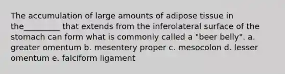 The accumulation of large amounts of adipose tissue in the_________ that extends from the inferolateral surface of the stomach can form what is commonly called a "beer belly". a. greater omentum b. mesentery proper c. mesocolon d. lesser omentum e. falciform ligament