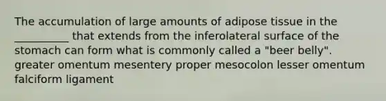 The accumulation of large amounts of adipose tissue in the __________ that extends from the inferolateral surface of the stomach can form what is commonly called a "beer belly". greater omentum mesentery proper mesocolon lesser omentum falciform ligament