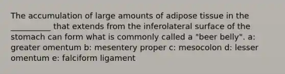 The accumulation of large amounts of adipose tissue in the __________ that extends from the inferolateral surface of the stomach can form what is commonly called a "beer belly". a: greater omentum b: mesentery proper c: mesocolon d: lesser omentum e: falciform ligament