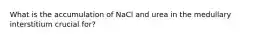 What is the accumulation of NaCl and urea in the medullary interstitium crucial for?