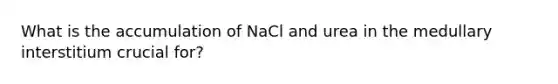 What is the accumulation of NaCl and urea in the medullary interstitium crucial for?