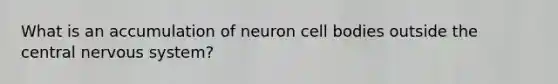 What is an accumulation of neuron cell bodies outside the central nervous system?