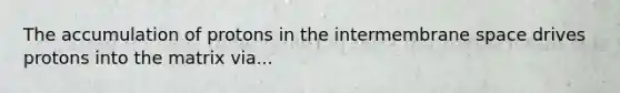 The accumulation of protons in the intermembrane space drives protons into the matrix via...