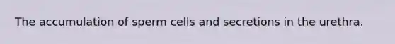 The accumulation of sperm cells and secretions in the urethra.