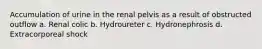 Accumulation of urine in the renal pelvis as a result of obstructed outflow a. Renal colic b. Hydroureter c. Hydronephrosis d. Extracorporeal shock