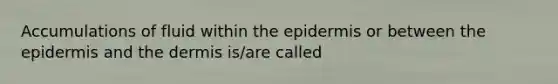 Accumulations of fluid within the epidermis or between the epidermis and the dermis is/are called