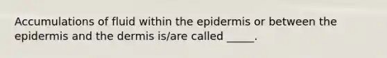 Accumulations of fluid within the epidermis or between the epidermis and the dermis is/are called _____.