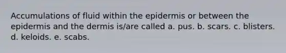 Accumulations of fluid within <a href='https://www.questionai.com/knowledge/kBFgQMpq6s-the-epidermis' class='anchor-knowledge'>the epidermis</a> or between the epidermis and <a href='https://www.questionai.com/knowledge/kEsXbG6AwS-the-dermis' class='anchor-knowledge'>the dermis</a> is/are called a. pus. b. scars. c. blisters. d. keloids. e. scabs.