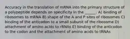 Accuracy in the translation of mRNA into the primary structure of a polypeptide depends on specificity in the ______. A) binding of ribosomes to mRNA B) shape of the A and P sites of ribosomes C) binding of the anticodon to a small subunit of the ribosome D) attachment of amino acids to rRNAs E) binding of the anticodon to the codon and the attachment of amino acids to tRNAs