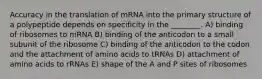 Accuracy in the translation of mRNA into the primary structure of a polypeptide depends on specificity in the ________. A) binding of ribosomes to mRNA B) binding of the anticodon to a small subunit of the ribosome C) binding of the anticodon to the codon and the attachment of amino acids to tRNAs D) attachment of amino acids to rRNAs E) shape of the A and P sites of ribosomes