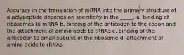 Accuracy in the translation of mRNA into the primary structure of a polypeptide depends on specificity in the _____. a. binding of ribosomes to mRNA b. binding of the anticodon to the codon and the attachment of amino acids to tRNAs c. binding of the anticodon to small subunit of the ribosome d. attachment of amino acids to rRNAs