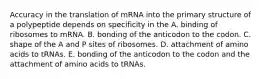 Accuracy in the translation of mRNA into the primary structure of a polypeptide depends on specificity in the A. binding of ribosomes to mRNA. B. bonding of the anticodon to the codon. C. shape of the A and P sites of ribosomes. D. attachment of amino acids to tRNAs. E. bonding of the anticodon to the codon and the attachment of amino acids to tRNAs.