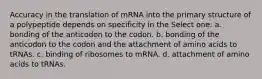 Accuracy in the translation of mRNA into the primary structure of a polypeptide depends on specificity in the Select one: a. bonding of the anticodon to the codon. b. bonding of the anticodon to the codon and the attachment of amino acids to tRNAs. c. binding of ribosomes to mRNA. d. attachment of amino acids to tRNAs.