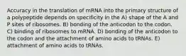 Accuracy in the translation of mRNA into the primary structure of a polypeptide depends on specificity in the A) shape of the A and P sites of ribosomes. B) bonding of the anticodon to the codon. C) binding of ribosomes to mRNA. D) bonding of the anticodon to the codon and the attachment of amino acids to tRNAs. E) attachment of amino acids to tRNAs.