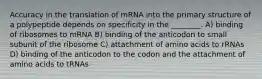 Accuracy in the translation of mRNA into the primary structure of a polypeptide depends on specificity in the ________. A) binding of ribosomes to mRNA B) binding of the anticodon to small subunit of the ribosome C) attachment of amino acids to rRNAs D) binding of the anticodon to the codon and the attachment of amino acids to tRNAs