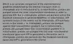 Which is an accurate comparison of the electrochemical gradients established by the electron transport chain in chloroplasts and in mitochondria? a. in mitochondria, protons are pumped across the inner mitochondrial membrane in order to generate ATP, but in chloroplasts, protons are pumped across the thylakoid membrane to generate NADPH b. in mitochondria, ATP synthesis occurs in the matrix, but in chloroplasts, ATP synthesis occurs in the lumen c. in chloroplasts, protons are pumped against their concentration gradient, but in mitochondria, protons are pumped down their concentration gradient d. in mitochondria, protons are pumped into the inner mitochondrial membrane space and ATP is generated in the matrix, but in chloroplasts, protons are pumped into the thylakoid membrane space and ATP is generated in the stroma