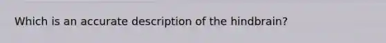 Which is an accurate description of the hindbrain?