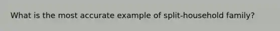 What is the most accurate example of split-household family?