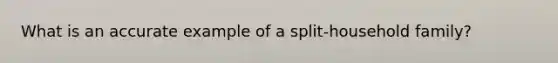 What is an accurate example of a split-household family?