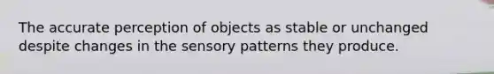 The accurate perception of objects as stable or unchanged despite changes in the sensory patterns they produce.