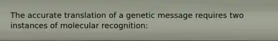 The accurate translation of a genetic message requires two instances of molecular recognition: