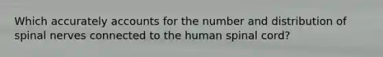 Which accurately accounts for the number and distribution of spinal nerves connected to the human spinal cord?