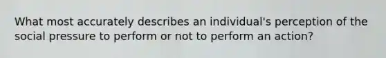 What most accurately describes an individual's perception of the social pressure to perform or not to perform an action?