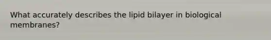 What accurately describes the lipid bilayer in biological membranes?