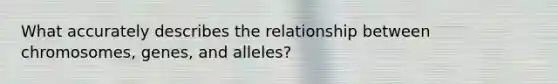 What accurately describes the relationship between chromosomes, genes, and alleles?