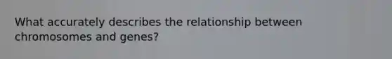 What accurately describes the relationship between chromosomes and genes?