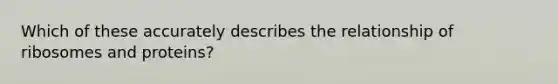 Which of these accurately describes the relationship of ribosomes and proteins?
