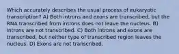 Which accurately describes the usual process of eukaryotic transcription? A) Both introns and exons are transcribed, but the RNA transcribed from introns does not leave the nucleus. B) Introns are not transcribed. C) Both introns and exons are transcribed, but neither type of transcribed region leaves the nucleus. D) Exons are not transcribed.