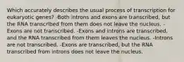 Which accurately describes the usual process of transcription for eukaryotic genes? -Both introns and exons are transcribed, but the RNA transcribed from them does not leave the nucleus. -Exons are not transcribed. -Exons and introns are transcribed, and the RNA transcribed from them leaves the nucleus. -Introns are not transcribed. -Exons are transcribed, but the RNA transcribed from introns does not leave the nucleus.