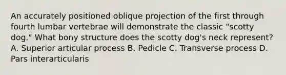 An accurately positioned oblique projection of the first through fourth lumbar vertebrae will demonstrate the classic "scotty dog." What bony structure does the scotty dog's neck represent? A. Superior articular process B. Pedicle C. Transverse process D. Pars interarticularis