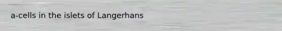 a-cells in the islets of Langerhans