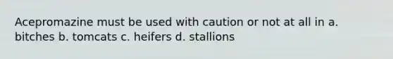 Acepromazine must be used with caution or not at all in a. bitches b. tomcats c. heifers d. stallions