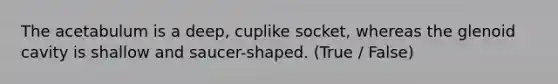 The acetabulum is a deep, cuplike socket, whereas the glenoid cavity is shallow and saucer-shaped. (True / False)