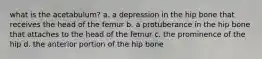 what is the acetabulum? a. a depression in the hip bone that receives the head of the femur b. a protuberance in the hip bone that attaches to the head of the femur c. the prominence of the hip d. the anterior portion of the hip bone