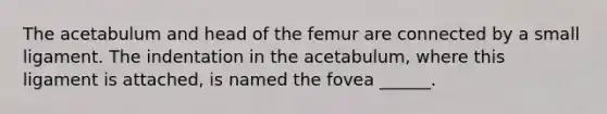 The acetabulum and head of the femur are connected by a small ligament. The indentation in the acetabulum, where this ligament is attached, is named the fovea ______.