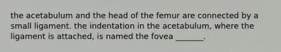 the acetabulum and the head of the femur are connected by a small ligament. the indentation in the acetabulum, where the ligament is attached, is named the fovea _______.