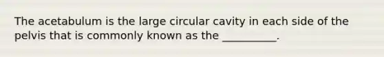 The acetabulum is the large circular cavity in each side of the pelvis that is commonly known as the __________.