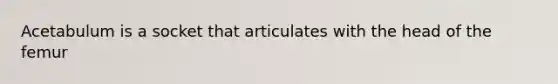 Acetabulum is a socket that articulates with the head of the femur