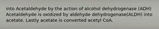 into Acetaldehyde by the action of alcohol dehydrogenase (ADH) Acetaldehyde is oxidized by aldehyde dehydrogenase(ALDH) into acetate. Lastly acetate is converted acetyl CoA.