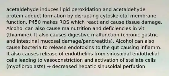 acetaldehyde induces lipid peroxidation and acetaldehyde protein adduct formation by disrupting cytoskeletal membrane function. P450 makes ROS which react and cause tissue damage. Alcohol can also cause malnutrition and deficiencies in vit (thiamine). It also causes digestive malfunction (chronic gastric and intestinal mucosal damage/pancreatitis). Alcohol can also cause bacteria to release endotoxins to the gut causing inflamm. It also causes release of endothelins from sinusoidal endothelial cells leading to vasoconstriction and activation of stellate cells (myofibroblasts) → decreased hepatic sinusoidal perfusion