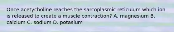 Once acetycholine reaches the sarcoplasmic reticulum which ion is released to create a muscle contraction? A. magnesium B. calcium C. sodium D. potasium