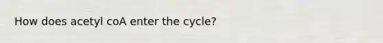 How does acetyl coA enter the cycle?