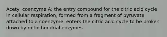 Acetyl coenzyme A; the entry compound for the citric acid cycle in cellular respiration, formed from a fragment of pyruvate attached to a coenzyme. enters the citric acid cycle to be broken down by mitochondrial enzymes