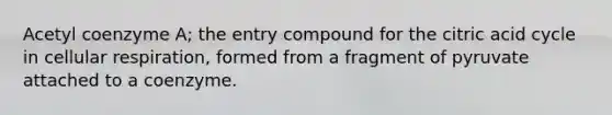 Acetyl coenzyme A; the entry compound for the citric acid cycle in cellular respiration, formed from a fragment of pyruvate attached to a coenzyme.