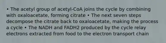 • The acetyl group of acetyl-CoA joins the cycle by combining with oxaloacetate, forming citrate • The next seven steps decompose the citrate back to oxaloacetate, making the process a cycle • The NADH and FADH2 produced by the cycle relay electrons extracted from food to the electron transport chain